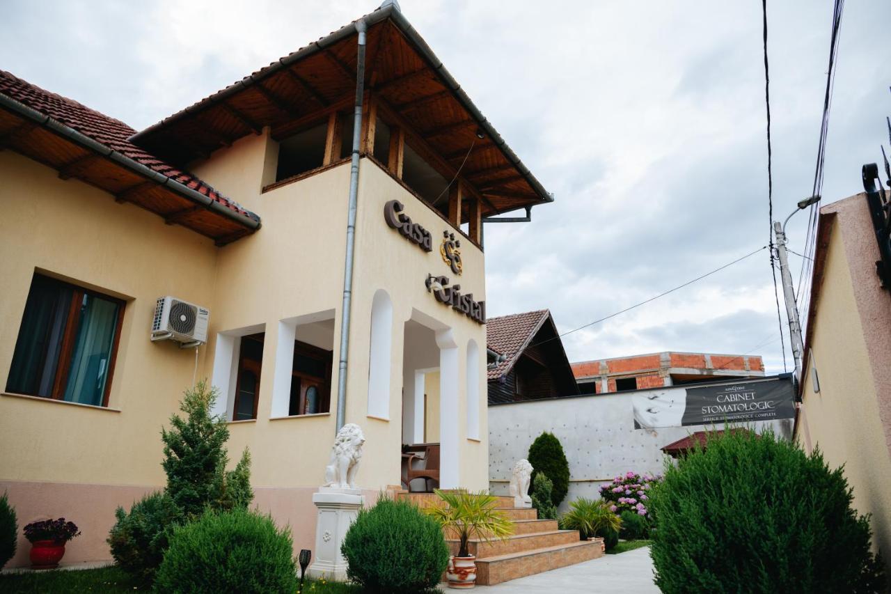 Pensiunea Casa Cristal Târgu Jiu Zewnętrze zdjęcie