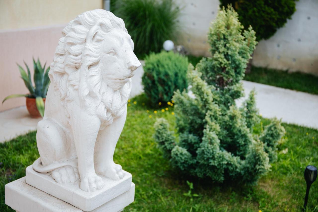 Pensiunea Casa Cristal Târgu Jiu Zewnętrze zdjęcie